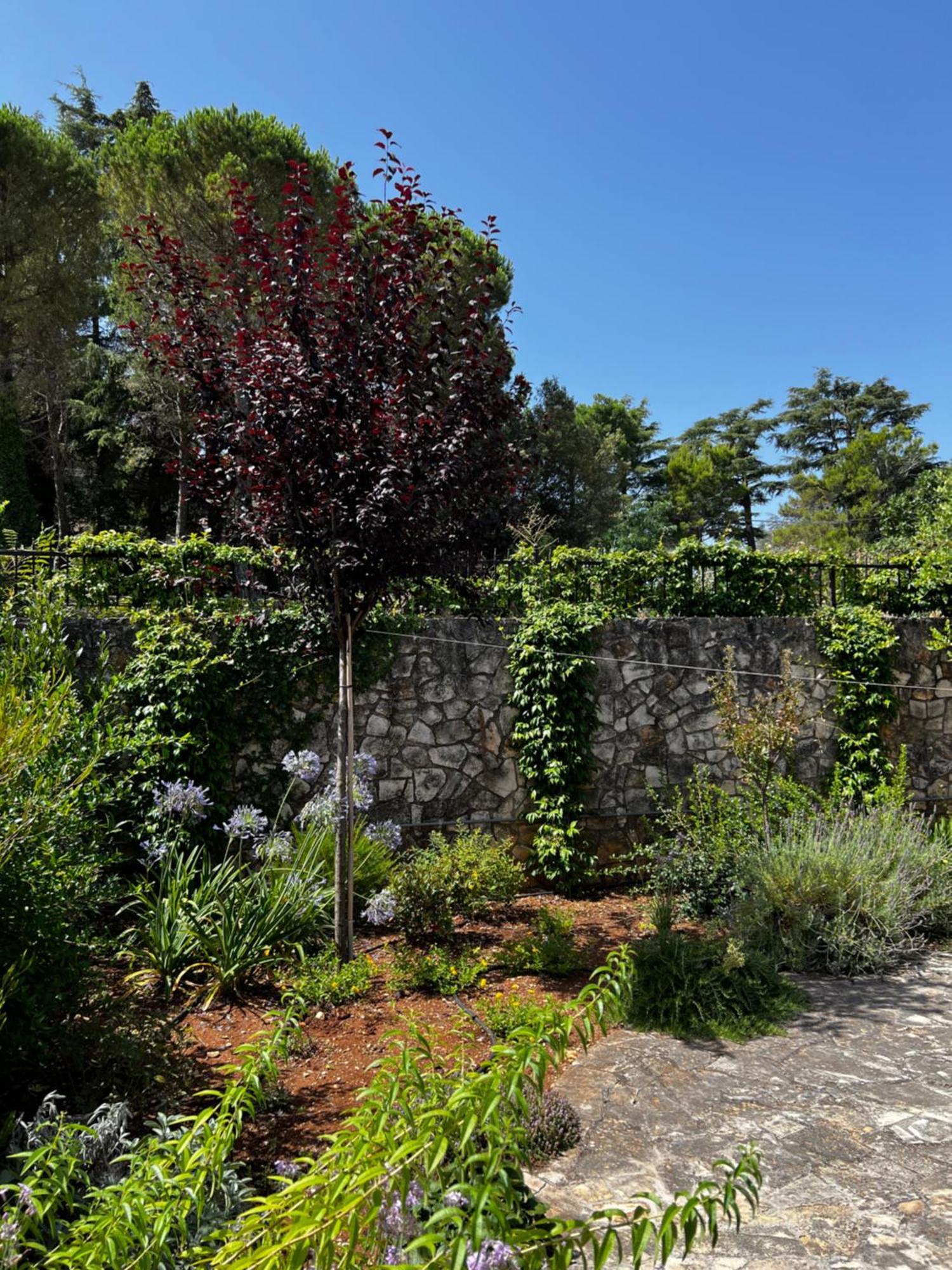 Dimora Di Bari Villa Selva Di Fasano Eksteriør bilde