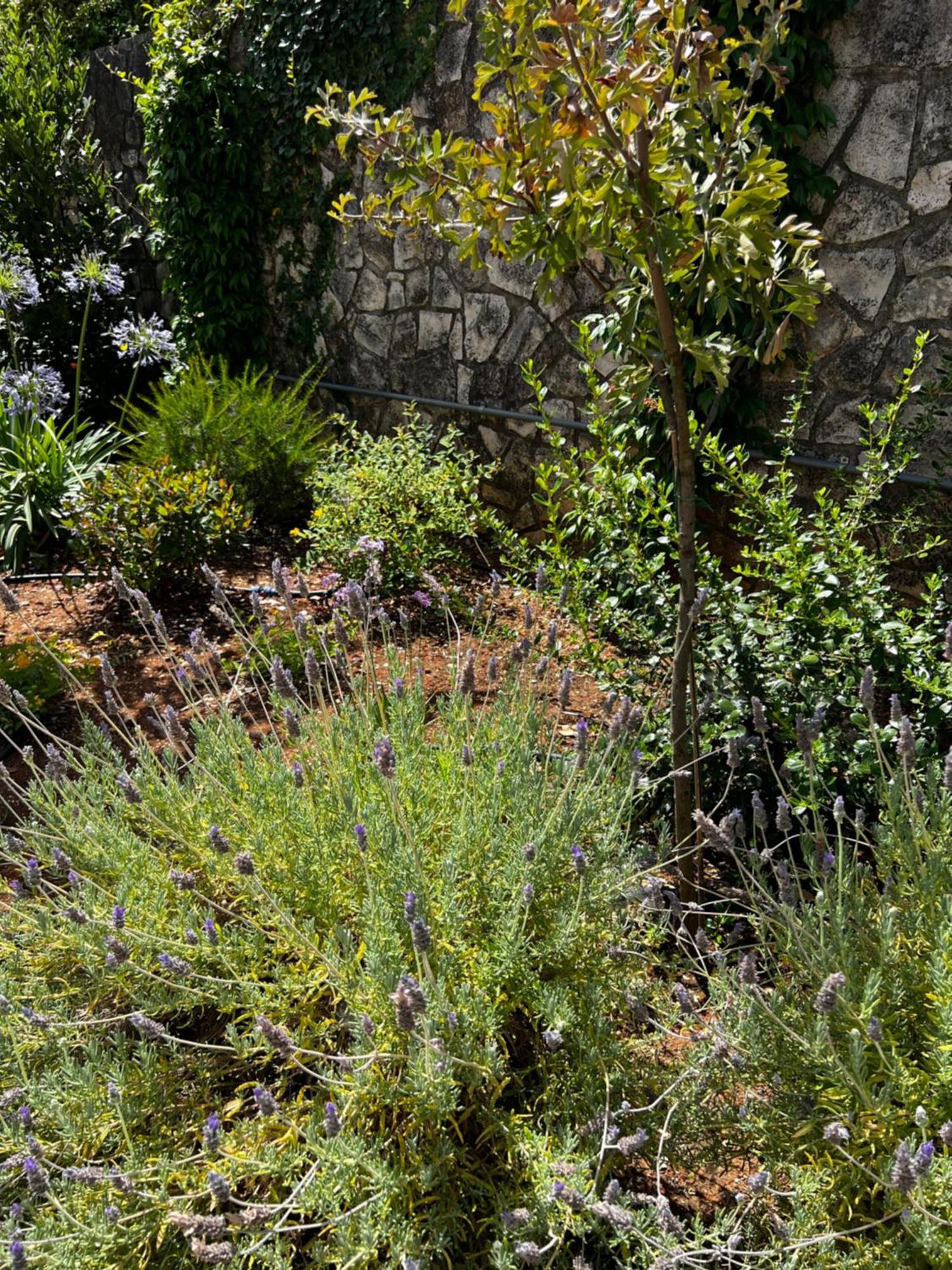 Dimora Di Bari Villa Selva Di Fasano Eksteriør bilde